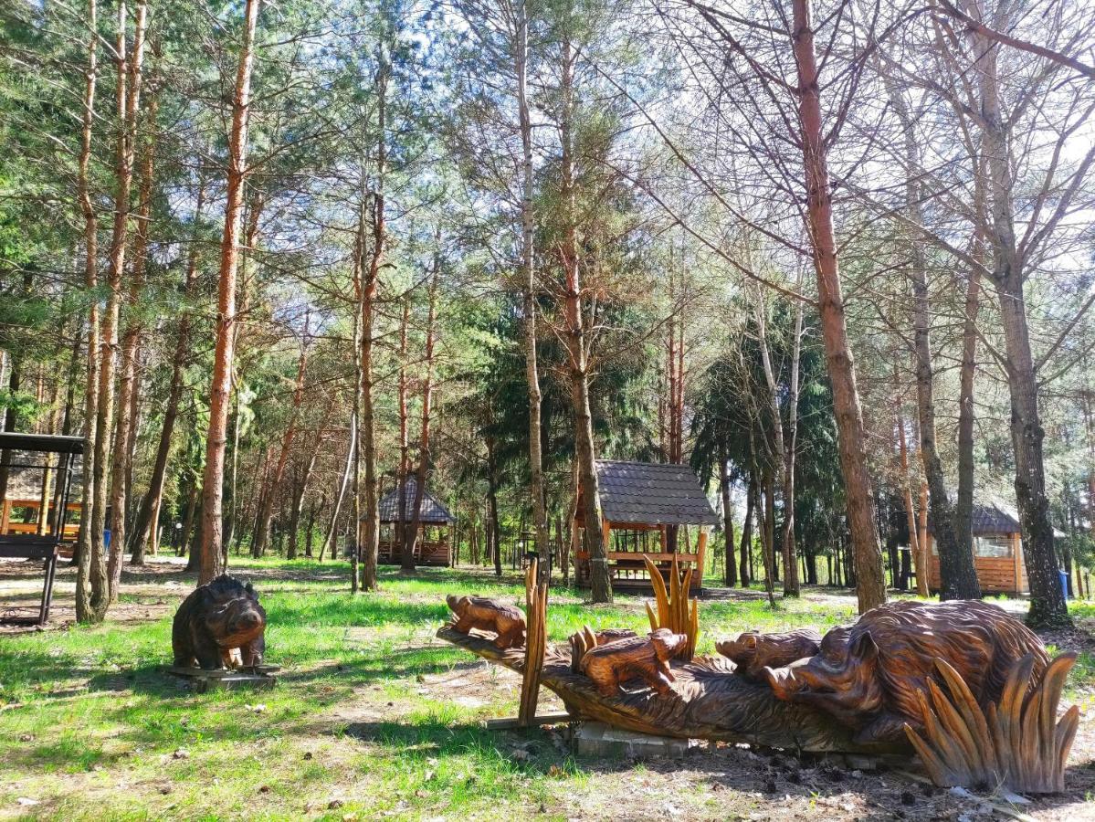 Мисливець В Комплексі "Сокіл" Hotel Susk Екстериор снимка